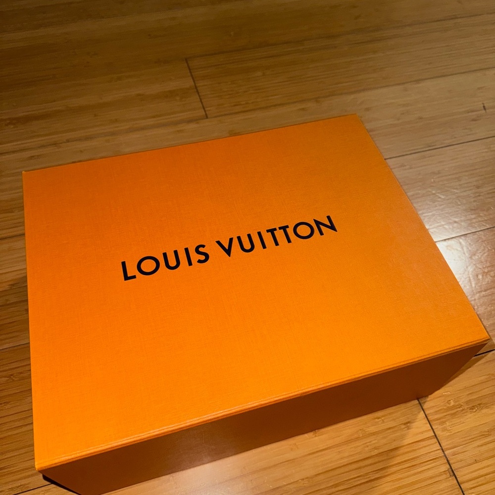 Louis Vuitton Light Gray Sneakers - Picture 2 of 7